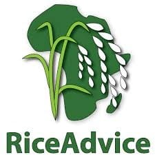 Riceadvice