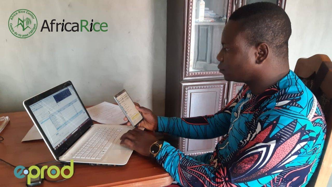 Photo: Mr. Ahamidé Samson of Jinukuja (rice trading company) uses eProd to monitor activities in rice fields.