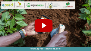 Affordable nutrient services