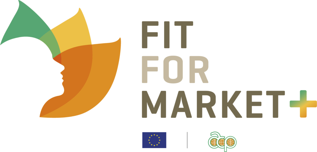 Fit for market+ program