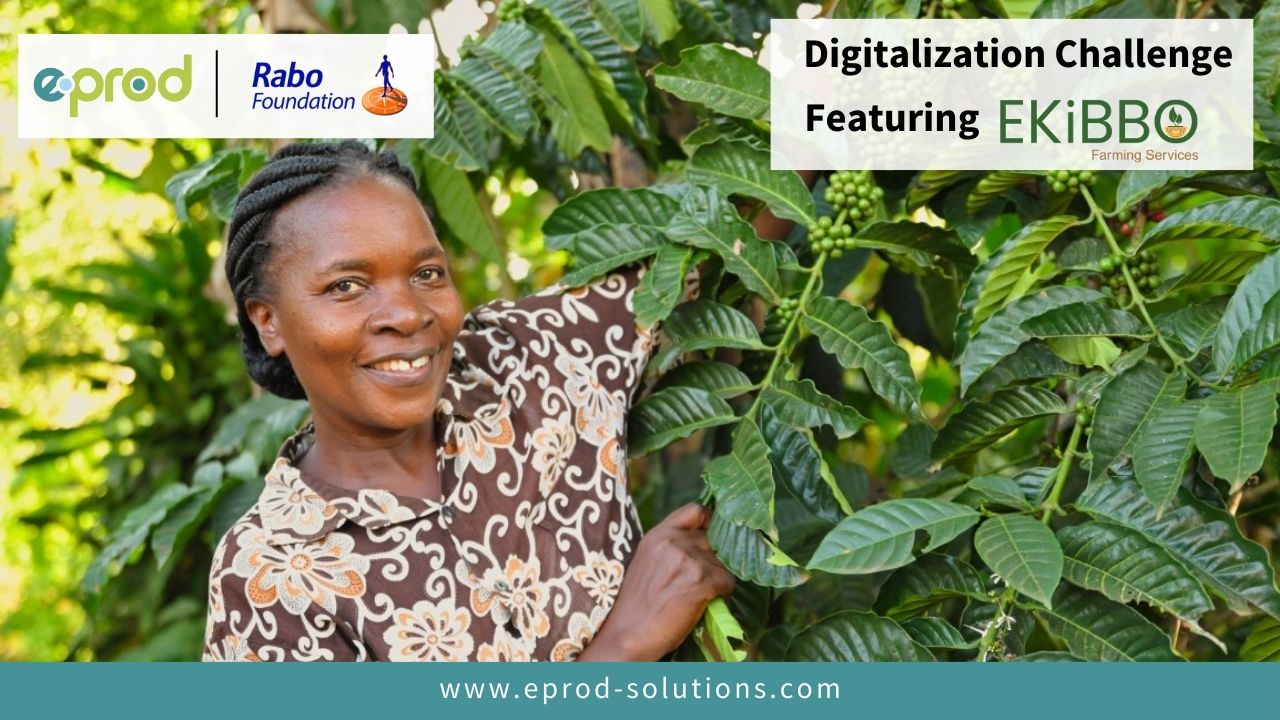 EKiBBO Farming Services and their digitalization journey with eProd, powered by Rabo Foundation