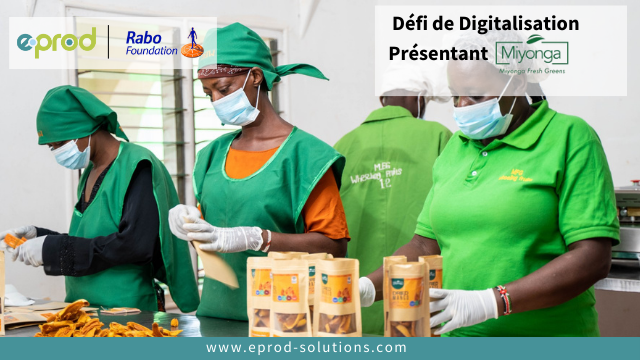 De la ferme au marché mondial : Le parcours de digitalisation de Miyonga Greens avec eProd, soutenu par la Fondation Rabo